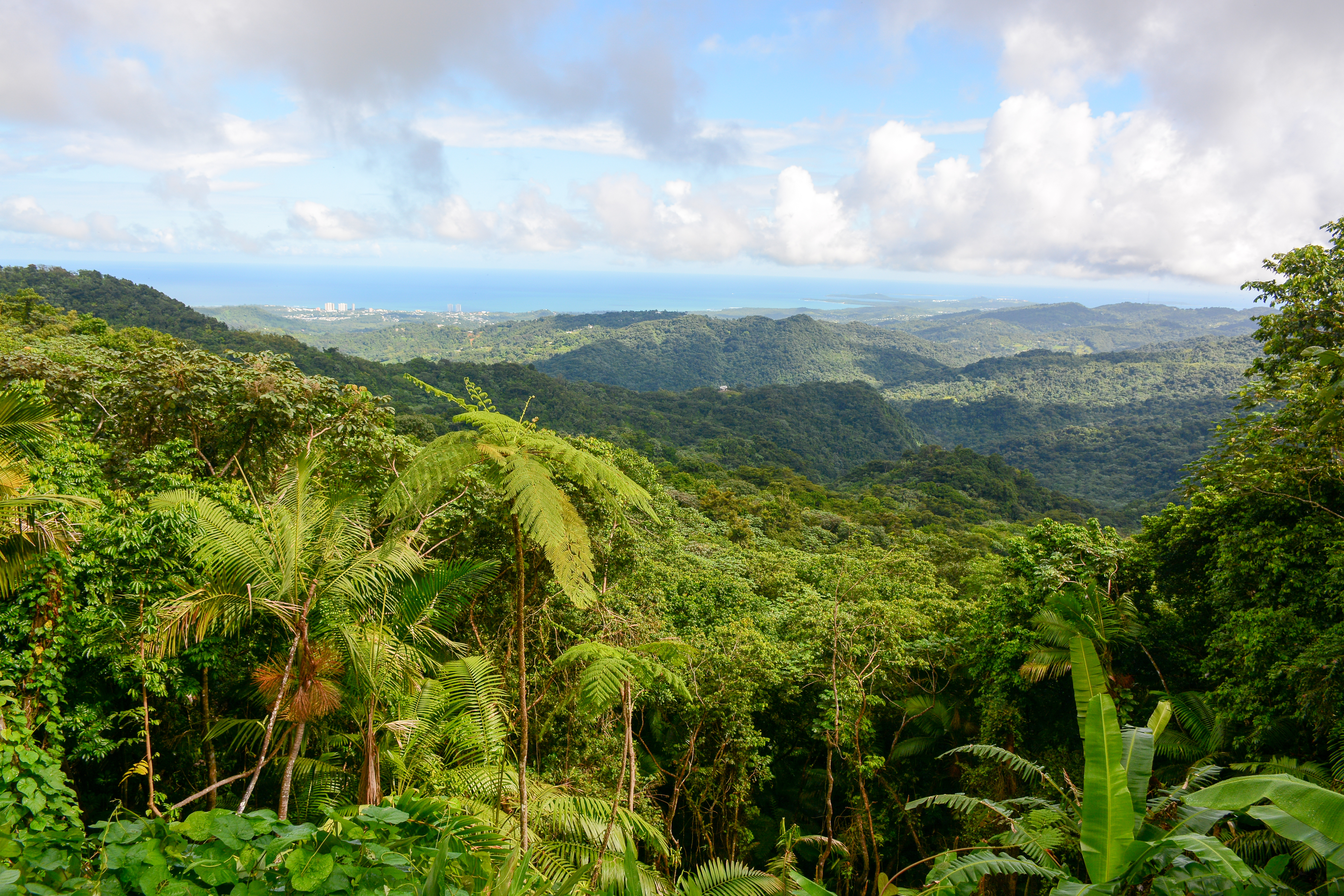 El Yunque