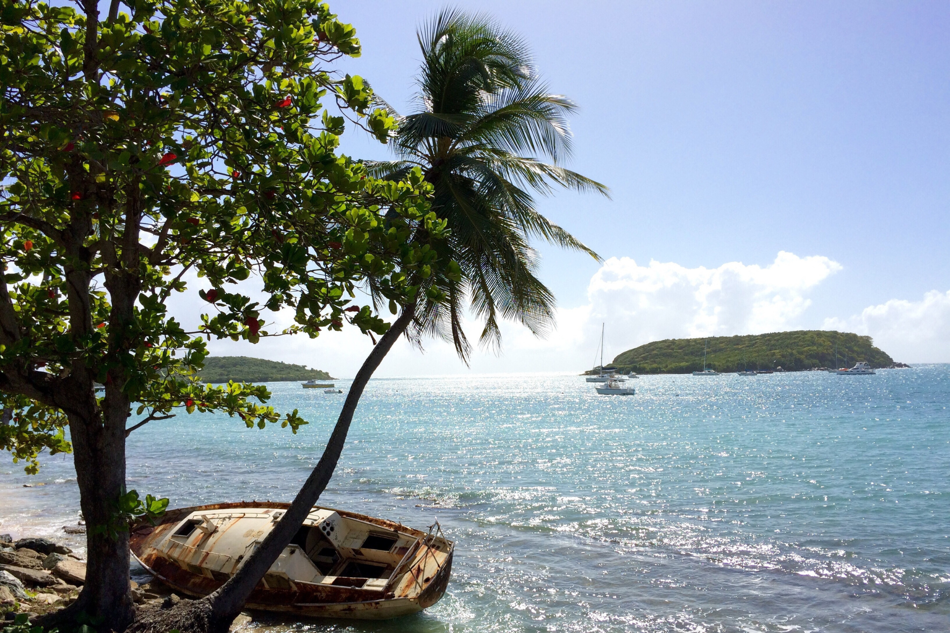 Vieques