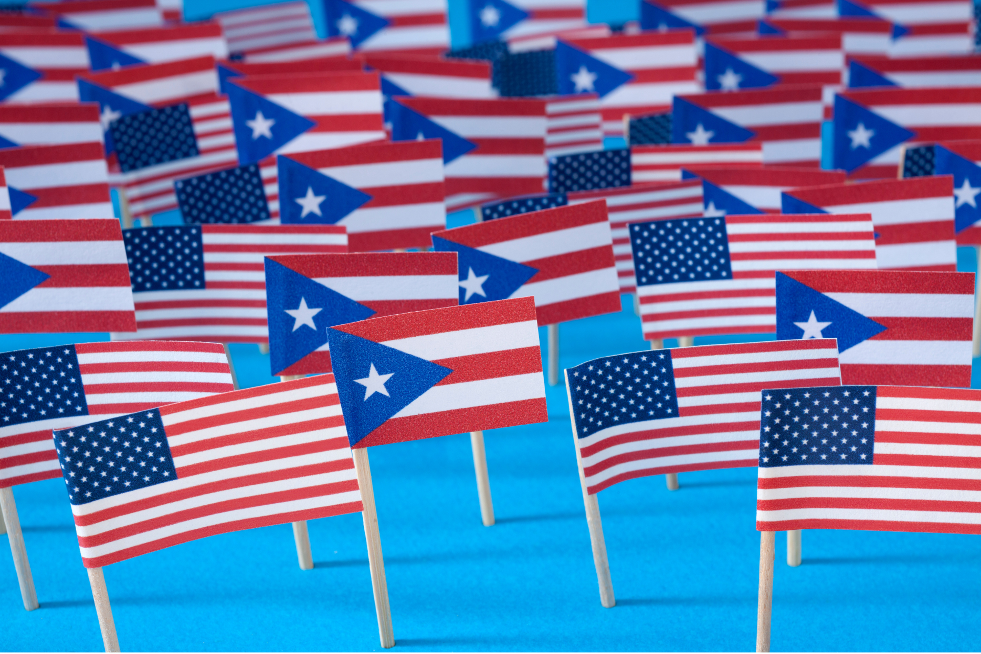 the "End Birthright Citizenship in the Territories"